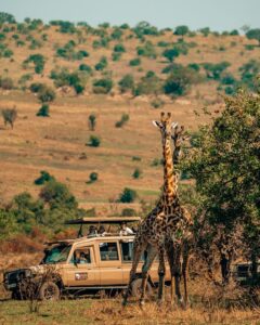 📍serengeti national park on days 2 & 3 of the…